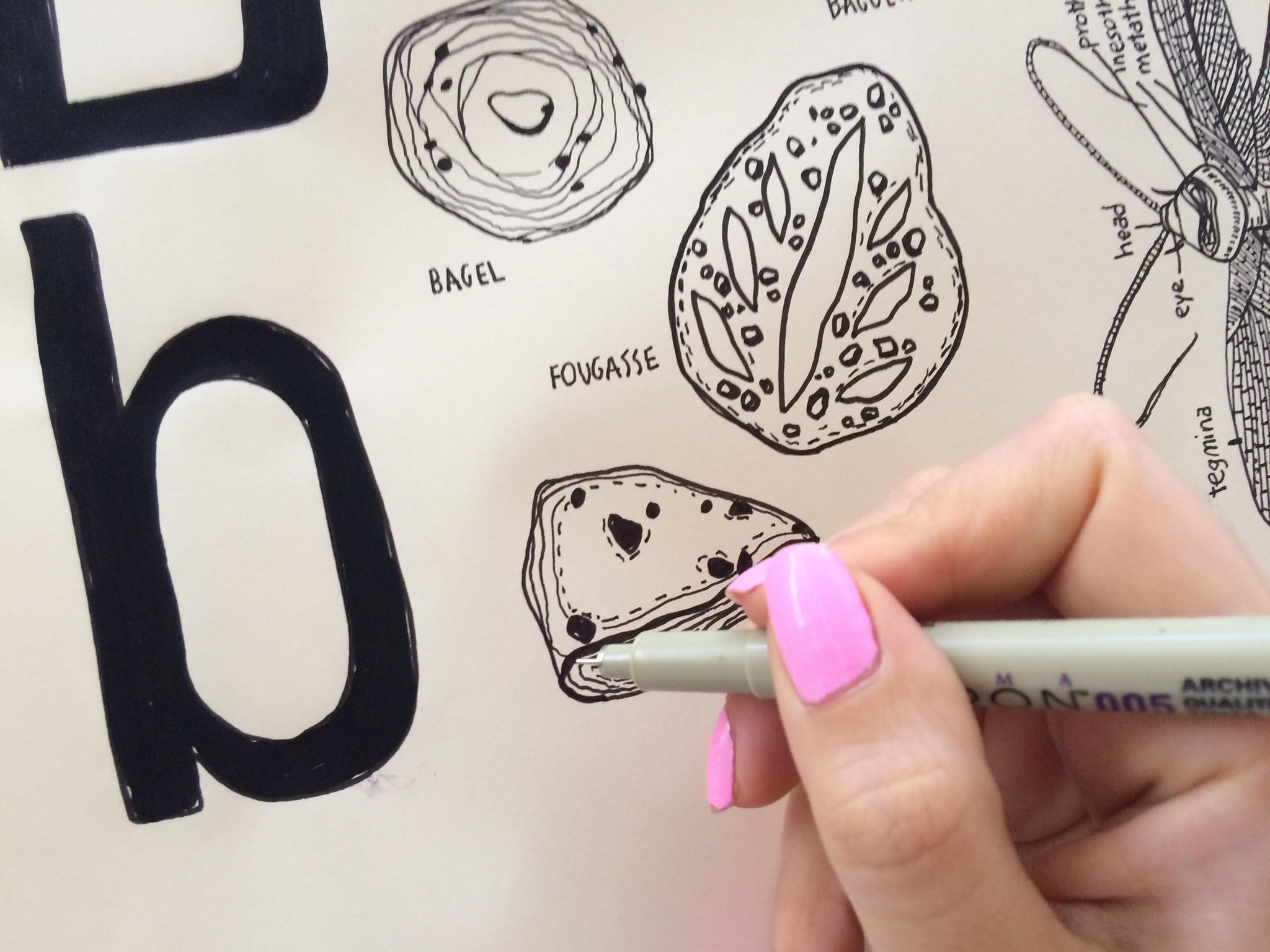Bread illustrations and letters.