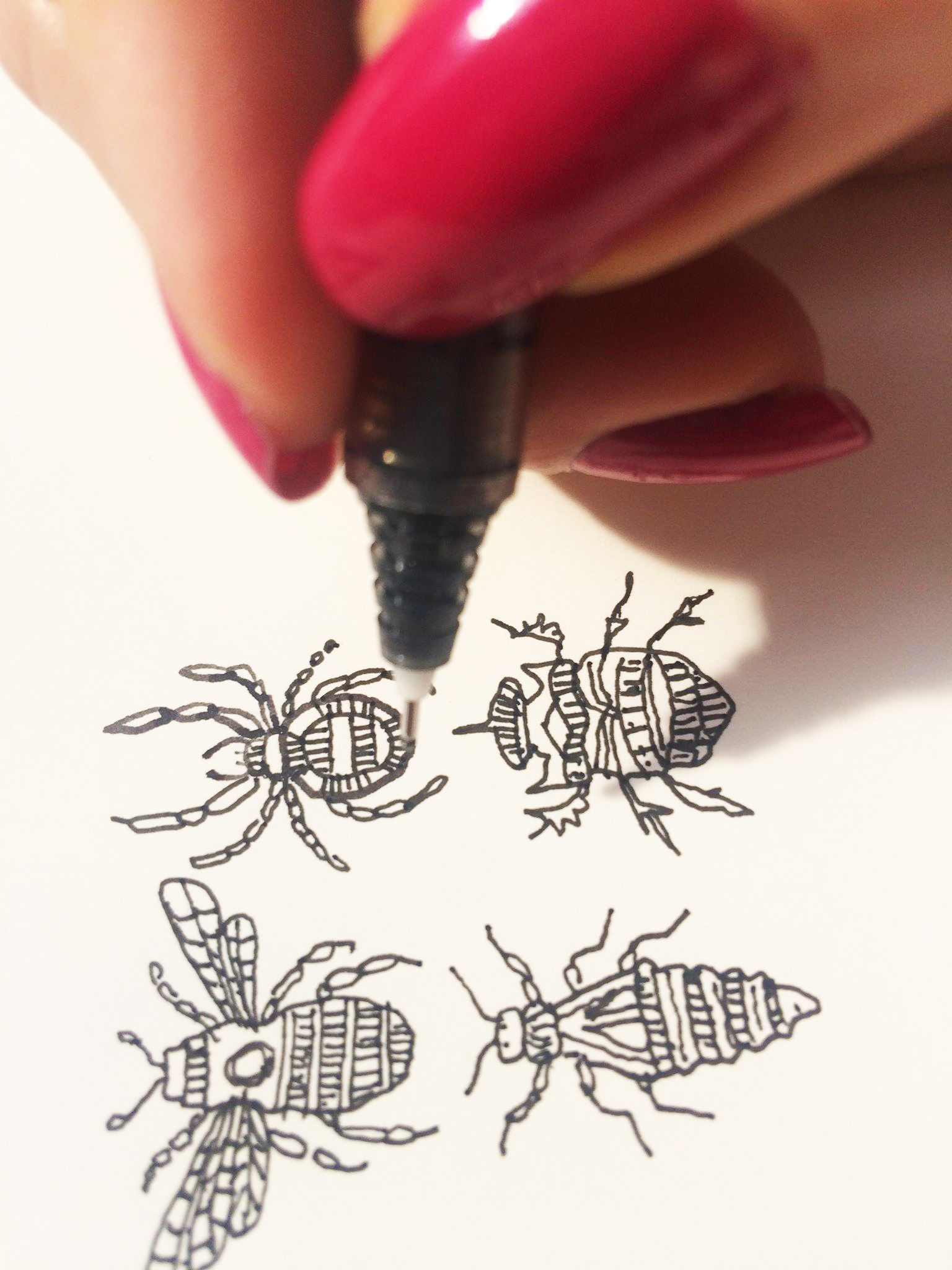 Bee drawings.