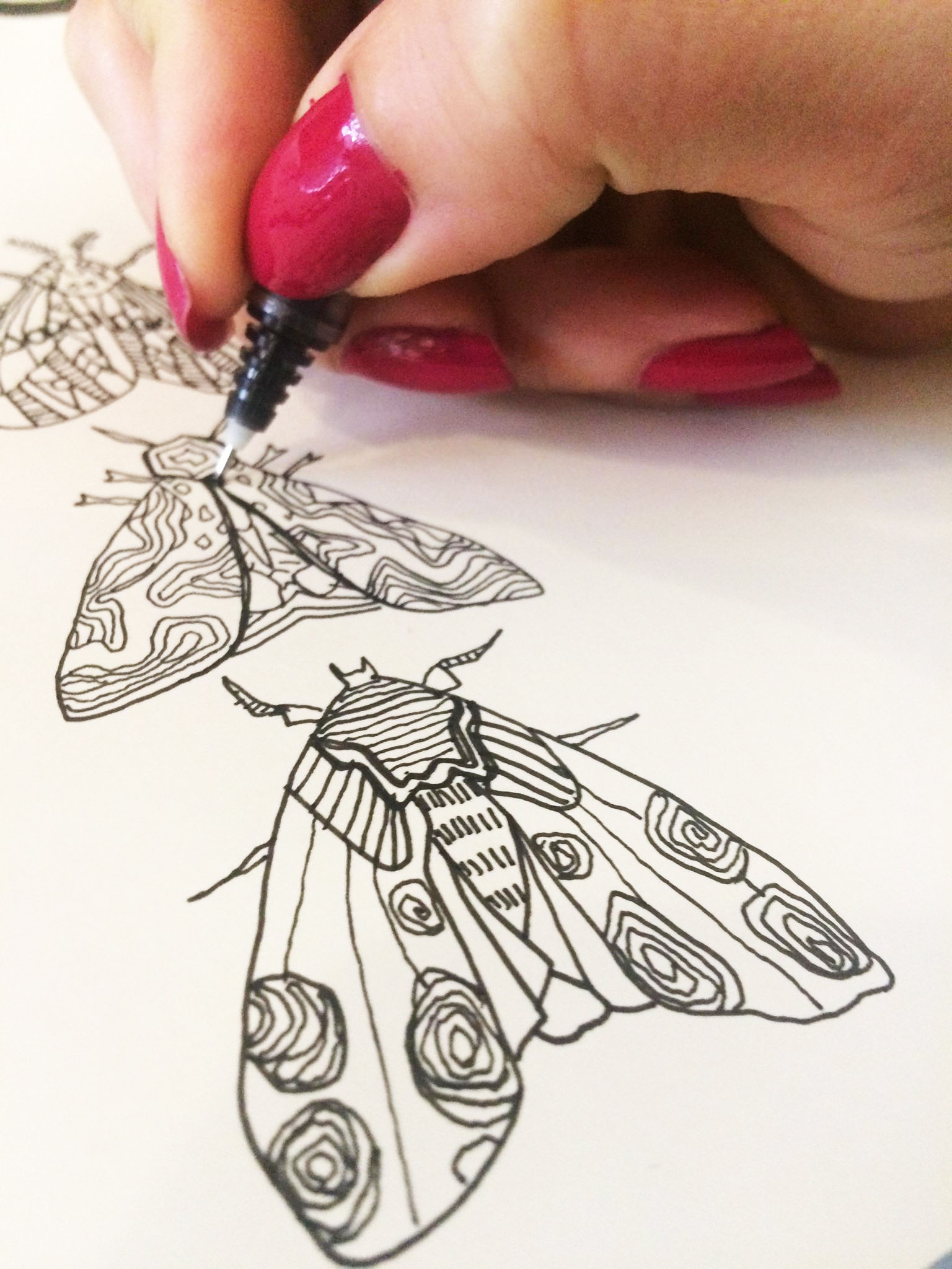 Butterfly drawing.