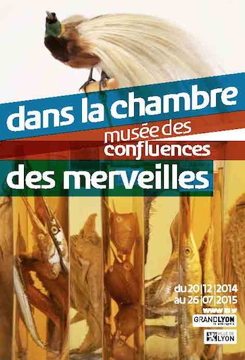 Poster for Dans la chambre des merveilles.