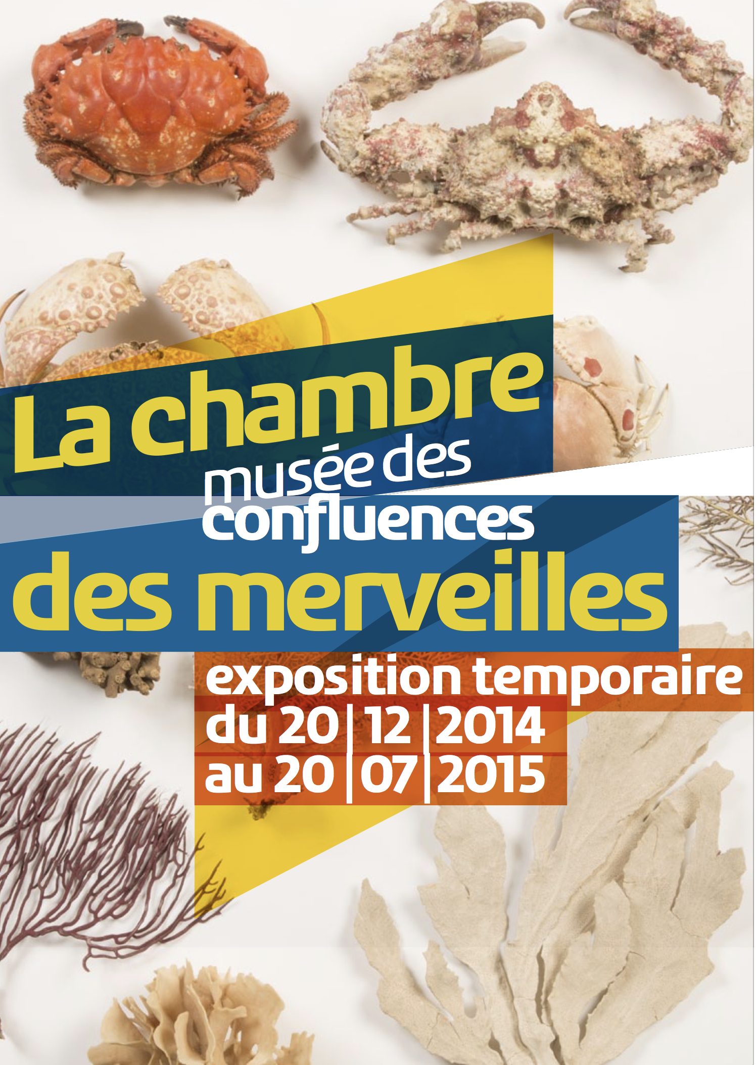 Poster with plants and specimens.