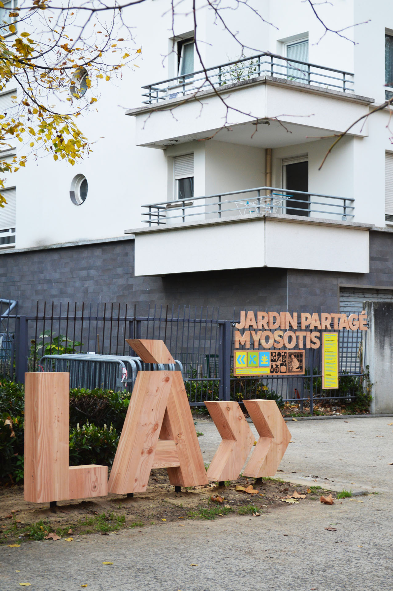 Myosotis sign and wooden letters.